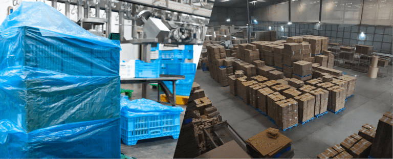 breaking the myth banner