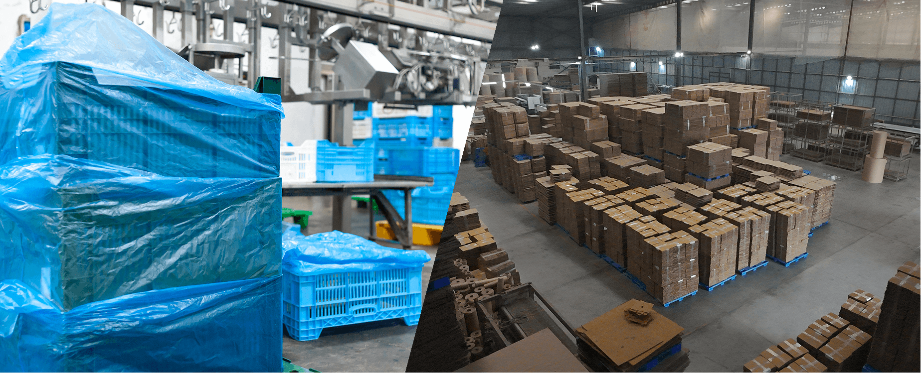 breaking the myth banner